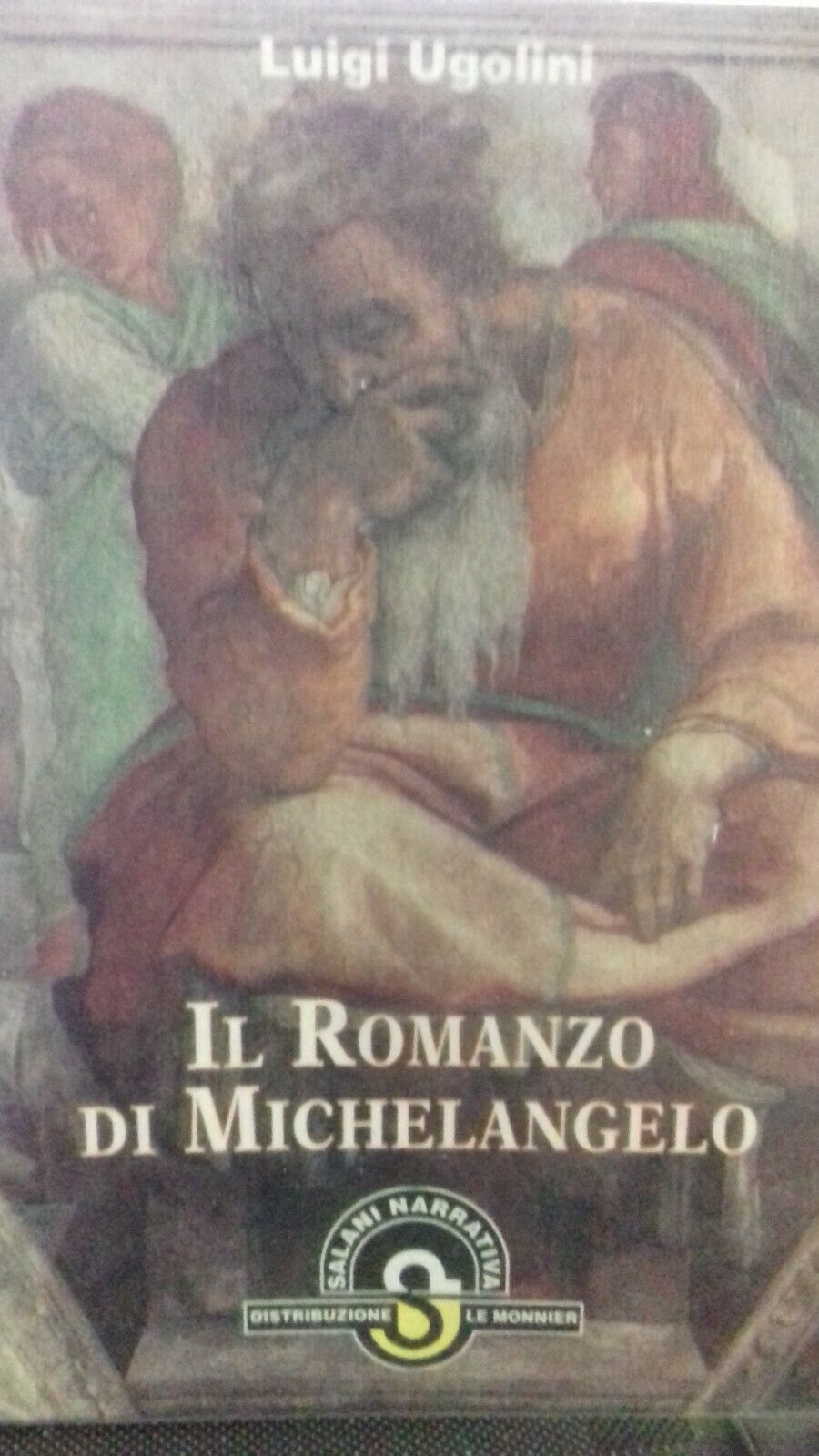 Copertina di Il romanzo di Michelangelo