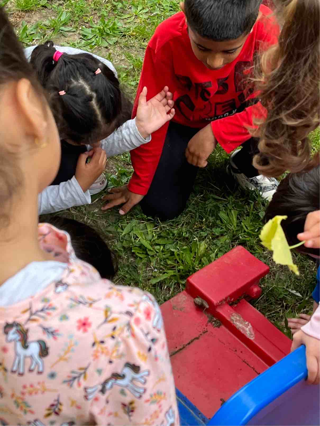 amico degli animali